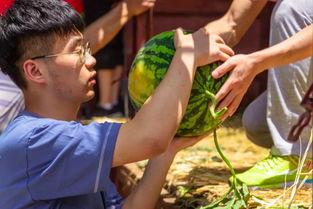 爱妻艺海角吃瓜,揭秘娱乐圈的甜蜜瓜田