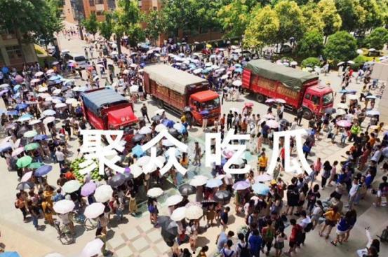 杭州聚众吃瓜事件,一场网络热议的街头现象解析