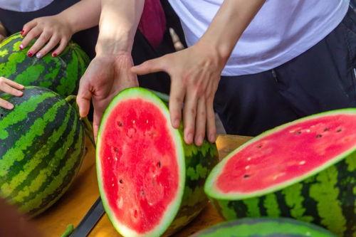 青城大学吃瓜,揭秘校园里的那些事儿