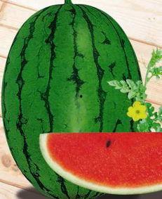 吃瓜宁陵,揭秘这座古城的瓜界传奇