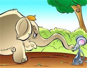 怎样防止老鼠吃瓜,老鼠防食策略全解析