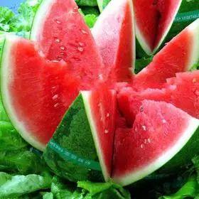 白头老瓜吃啥药,揭秘白头老瓜的神奇疗效与适宜药物