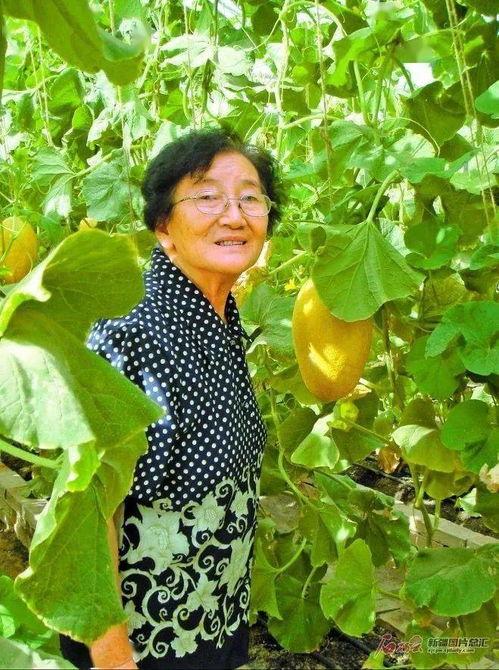 熊英吃瓜,揭秘娱乐圈背后的那些事儿