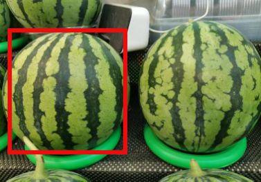 吃瓜网友的瓜,吃瓜网友爆料的惊人内幕