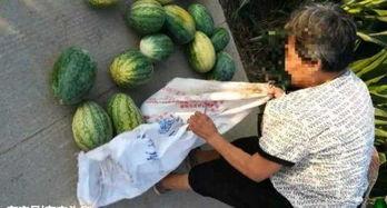 近期澳洲吃瓜反思