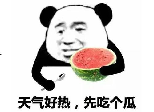 拍照吃瓜表情包,趣味横生的网络文化现象
